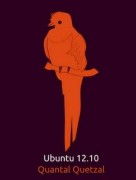 ubuntu 12.10